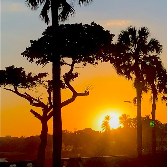 Meet your Posher, Glenys - Picture 1 of 1